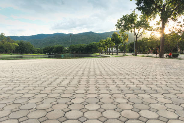 Best Custom Driveway Pavers  in Lake Tapps, WA